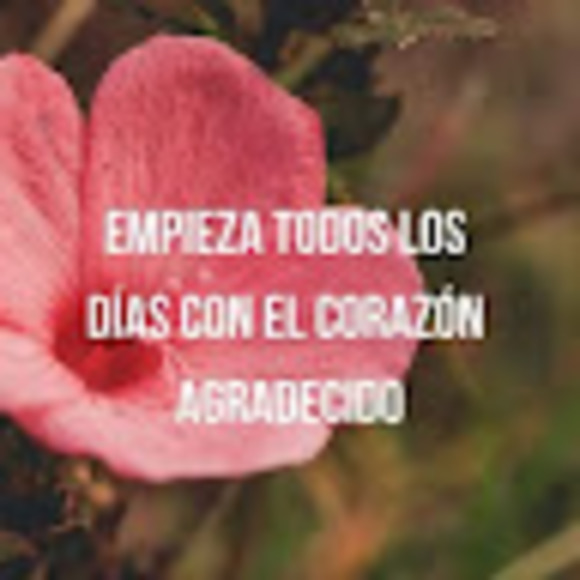 rosariorosar678